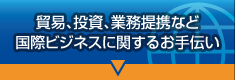 「貿易、投資、業務提携など国際ビジネスに関するお手伝い」ページへ
